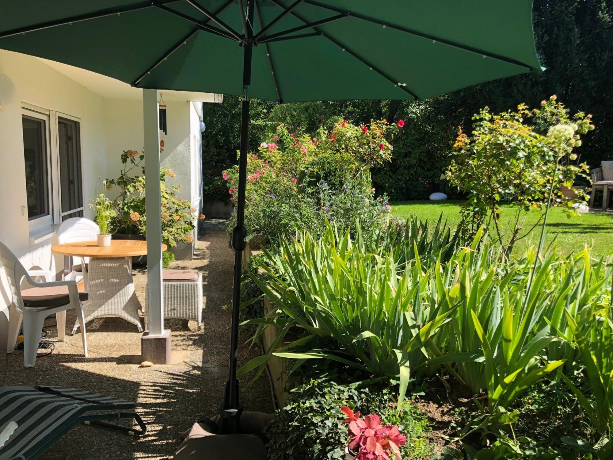 Secret Garden Apartment Mullheim  Exterior photo