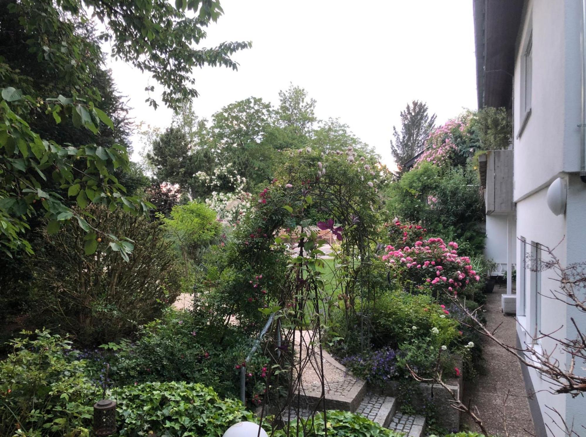 Secret Garden Apartment Mullheim  Exterior photo