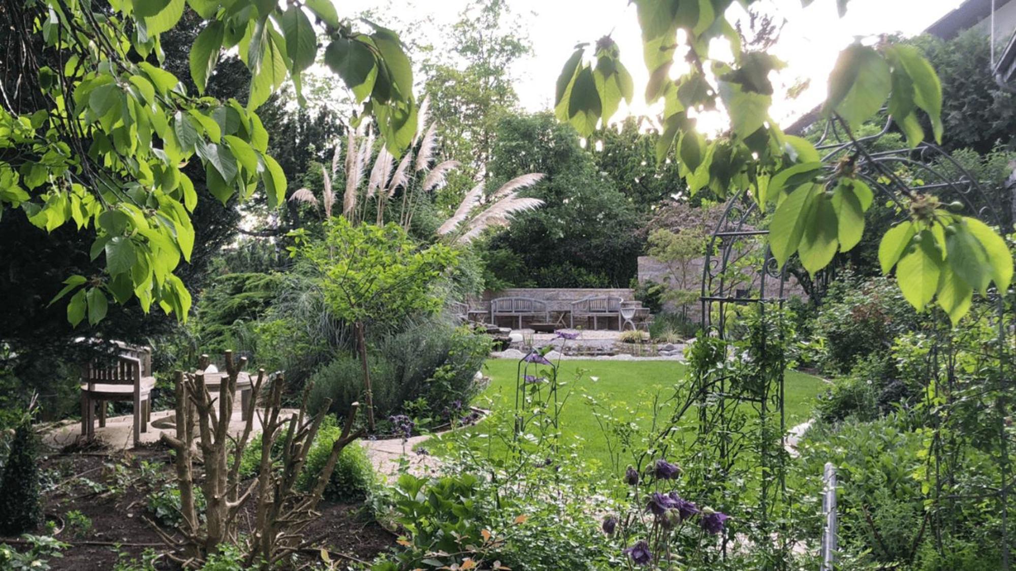Secret Garden Apartment Mullheim  Exterior photo